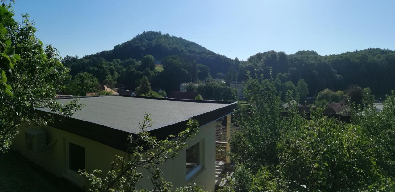 Apartments Ina Rogaška Slatina Δωμάτιο φωτογραφία
