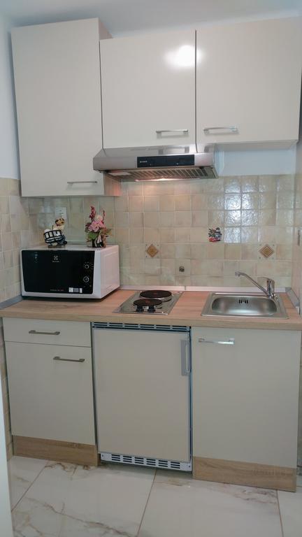 Apartments Ina Rogaška Slatina Εξωτερικό φωτογραφία